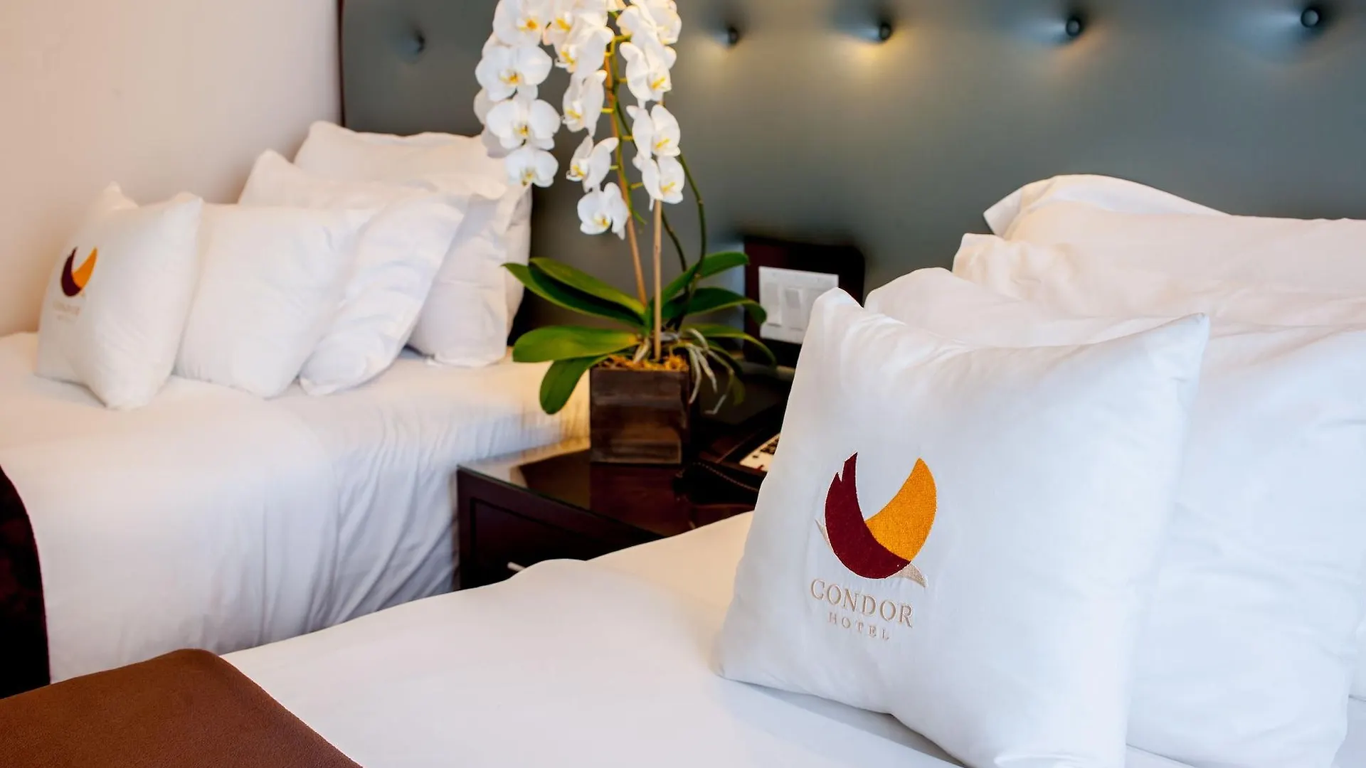 Aura Hotel Brooklyn New York