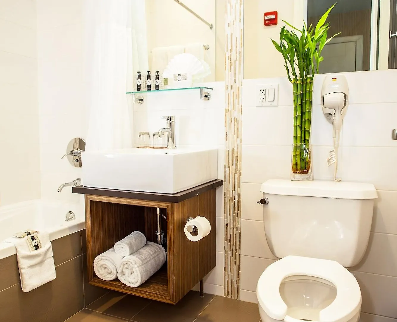 Aura Hotel Brooklyn New York